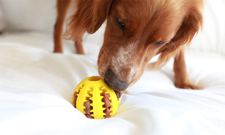 Dental massage ball - Rood