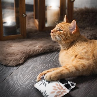 Canadian cat speelkussen karo met catnip grijs / beige