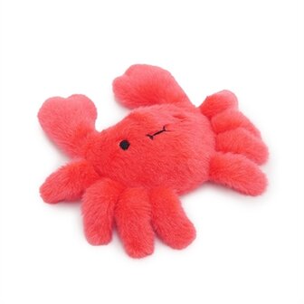 Jolly moggy under the sea crab