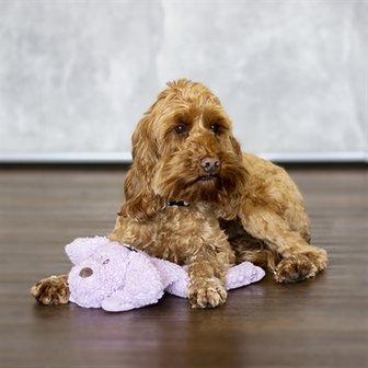 Aromadog calm laying down dog