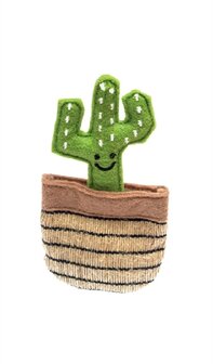 Fofos cactus mexico