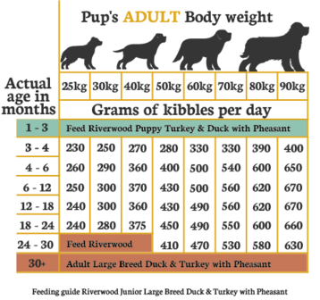 Riverwood Junior Free Run Duck &amp; Turkey with Pheasant - 12kg