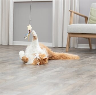 Trixie kattenhengel ster kunststof / pluche met catnip