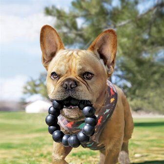 Kong extreme ring