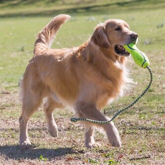 Kong airdog fetch stick met touw