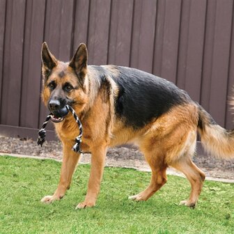 Kong extreme bal met touw zwart / wit