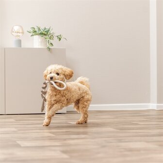 Trixie visgraat leer met touw