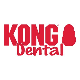 Kong dental met touw