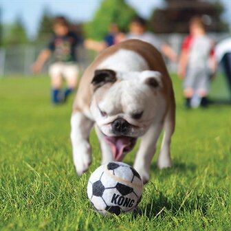 Kong sport bal assorti