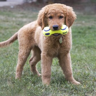 Kong airdog dumbel tennisbal geel