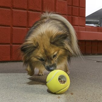 Kong rewards tennisbal