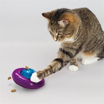 Kong cat infused gyro