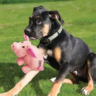 Kong phatz varken roze
