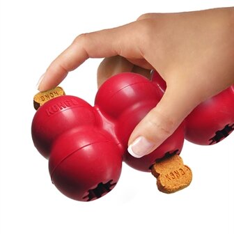 Kong goodie ribbon