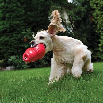 Kong bounzer rood