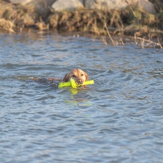 Trixie dog activity mot-aqua apporteer dobber limegroen