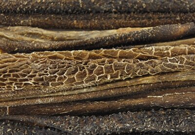 Petsnack pensstaafjes