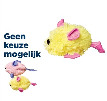 Kong kat kitten muis
