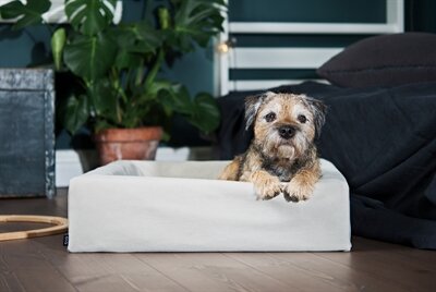 Bia bed cotton hoes hondenmand zand