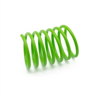 Happy pet tabby patch springs