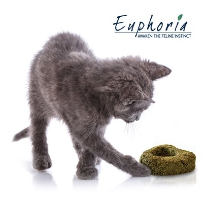 Croci euphoria catnip hart