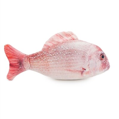 Jolly moggy natural catnip red snapper