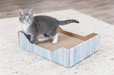 Trixie krabmand karton catnip turquoise