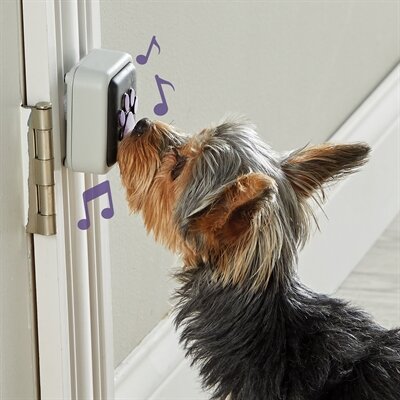 Hunger for words talking pet doorbell