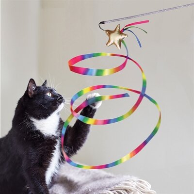 Kong teaser kattenhengel stellar