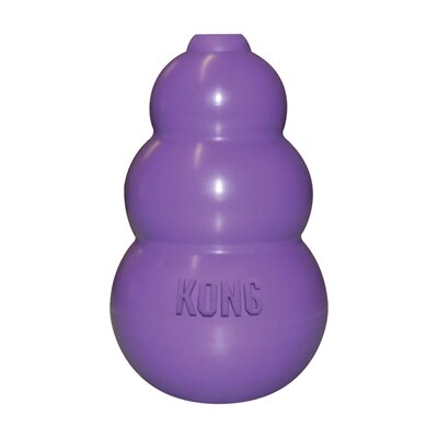 Kong kitty kong