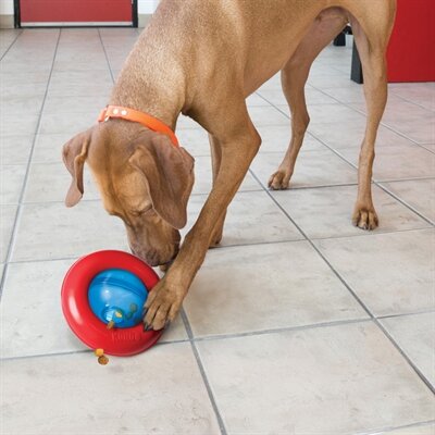 Kong gyro rood / blauw