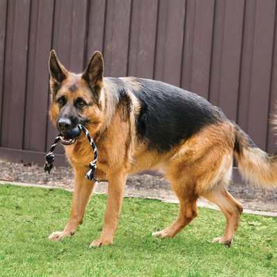 Kong extreme bal met touw zwart / wit