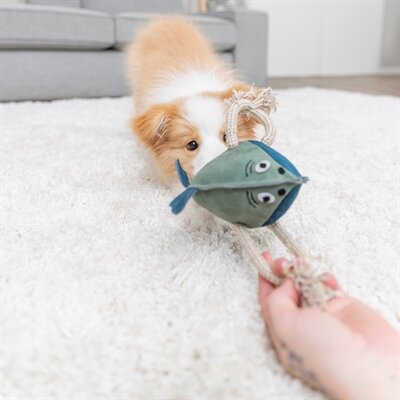 Trixie vis leer met touw