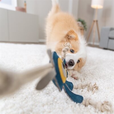Trixie monster leer met touw