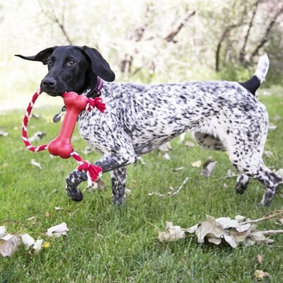 Kong goodie bone met touw
