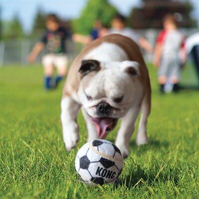 Kong sport bal assorti