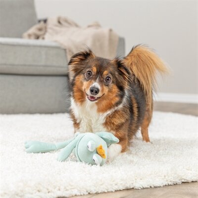 Trixie kikker koning pluche