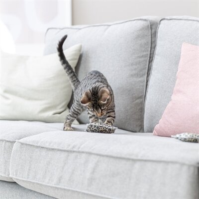 Trixie speelkussen leo panterprint met valeriaan assorti