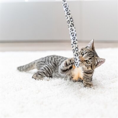 Trixie kattenhengel staart panterprint pluche met kattenkruid / catnip