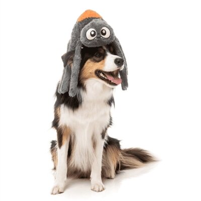 Fuzzyard arachnate the spider grijs / oranje