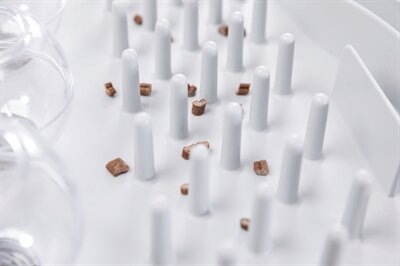 Trixie cat activity fun bord