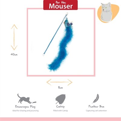 Happy pet tabby patch kattenhengel vogel blauw