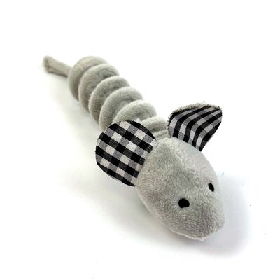 Happy pet tabby patch muizen